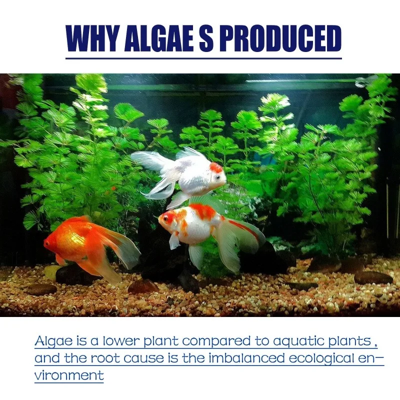 50g High Efficiency Algaecide  - огляд і ціна Water Soluble Stabilizer